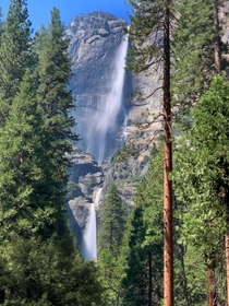 First time visiting Yosemite national Park 