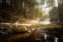 Fishing Creek Nature Preserve in Drumore Pennsylvania 