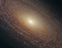 Flocculent Spiral Galaxy NGC  