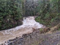Flooded Winston Creek Falls Mossyrock Washington OC x