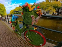 Flower Bike in Amsterdam