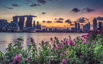 Flowers by the Bay Singapore OC