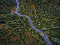 Flying over the Snoqualmie Pass in Central Washington State USA 