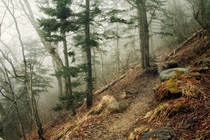 Fog covers the Appalachian trail on a dreary day - inside of the Great Smoky Mountains Tennessee 