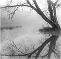 Fog on The Lake Leighton England  x