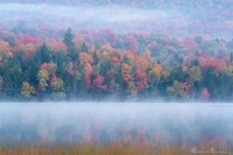 Fog over fall foliage of the Adirondack Mountains NY 