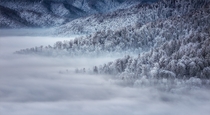 Fog over the Postvarul Massif Romania 