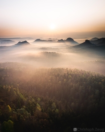 Fog Season in the Elbe Sandstone Mountains 