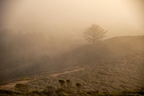 Foggy day Pacifica California 