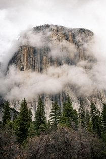 Foggy Days in Yosemite National Park California 
