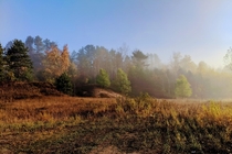 Foggy field in the Upper Peninsula of Michigan usa 
