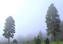 Foggy morning at Lake Cascade Idaho 