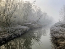 Foggy morning in Flanders x