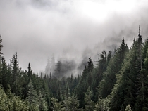 Foggy morning in Glacier National Park Montana 