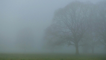 Foggy Morning in Hungerford UK 
