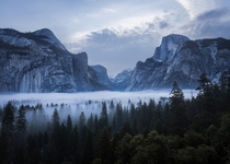 Foggy Morning in Yosemite National Park California OC 