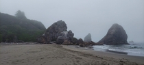 Foggy morning on the Oregon Coast at Harris Beach State Park USA 