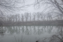Foggy Winter Morning Upstate NY Genesee River    