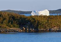 Fogo Island Newfoundland Canada Iceberg - OC x