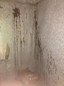 Follow-up photo of blood stains in an abandoned house
