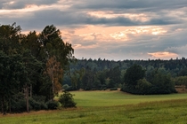 Forest and field at sunset in stergtland Sweden  IG hedbergphotos