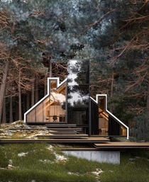 Forest House with Profiled Facade  Render