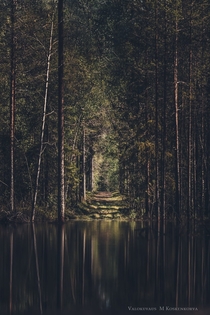 Forest pond in Kempele Finland 