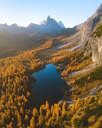 Forests of gold in the Dolomites Italy 