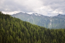 Forests with mountains nearby Lngenfeld Austria 