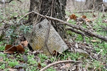 Forgotten Headstone in the Mississippi Delta