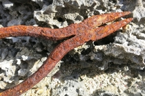 Forgotten pliers left to rust on a dry corral reef on a shore on Grand Cayman Island 