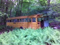 Forgotten School Bus in Potter County PA 
