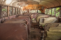 Found a few abandoned school buses in my travels  