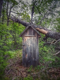 Found a random outhouse in the woods