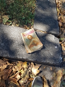 Found it in my local park old Lolita novel from  Bulgarian print In Sofia Borisovata Gradina Bulgaria