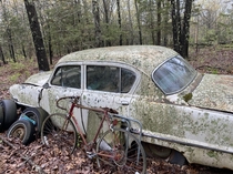 Found this old car in the woods on my grandpas farm Pretty cool