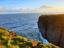 Fowlsheughs cliffs 