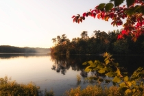 Frame of Foliage - Burke Lake VA  OC IG griffinbarnett