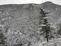 Fresh snow on Barr Trail Manitou Springs CO 
