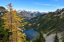 Fresh snow on the mountains makes the fall colors even better in the North Cascades 