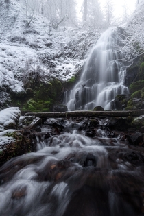 Fresh Snow over a waterfall in the Columbia River Gorge 