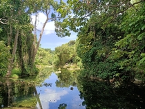 Freshwater River in Vanuatu x 