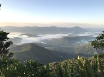 From the top of Mt Warning Australia at sunrise  th Feb 
