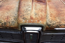 Front of an Abandoned Edsel I saw at a junkyard