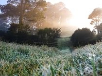 Frosty sunrise this morning Auckland New Zealand 