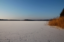 Frozen lake in Lithuania 