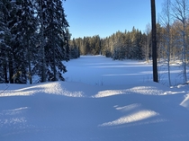 Frozen morning in Finland 