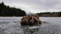 Frozen rock on a lake in Banff National Park today