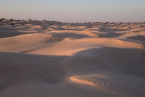 Frozen Sand Tunisia 