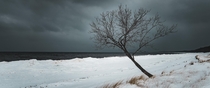 Frozen solitude of a windswept frozen beach Nordhouse Dunes MI x 